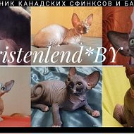 Kristenlend By