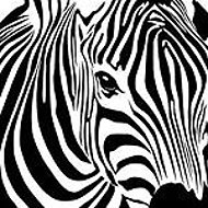 Zebra Shop