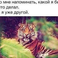 Космос Космос