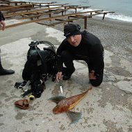 Андрей Яременко