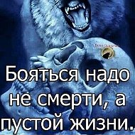 🐺🐺🐺 Волк