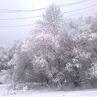 Марина Сарапулова