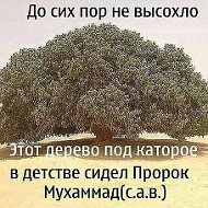 Нурланбек Разаков