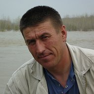 Владимир Полев