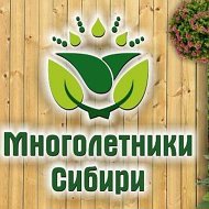 Многолетники Сибири