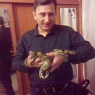 Александр Гавриленко