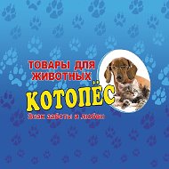 Зоомагазин Котопёс