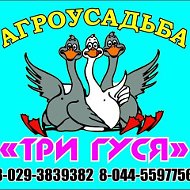 Новогрудок Агроусадьба