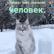 Ольга Ёлочка