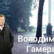 Володимир Гамера