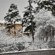 Светлана Голубицкая