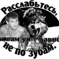 Александр Занин