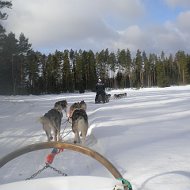 Николай Разумов