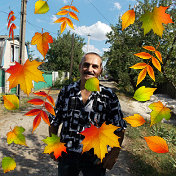 владимир коцюбийчук