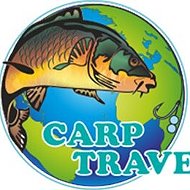 Carp Travel