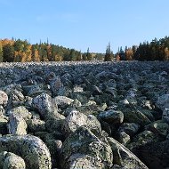 Евгения Болотова