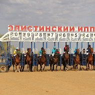 Элистинский Ипподром