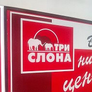 Три Слона