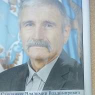 Владимир Степанюк