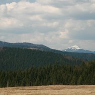 Петро Томашевський