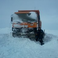 Дмитрий Загороднев