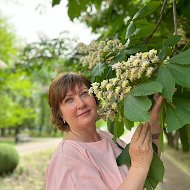 Елена Высочина