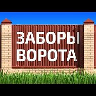 Заборы В