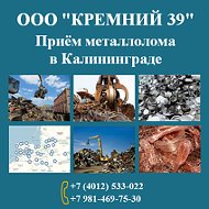 Кремний39 Ооо