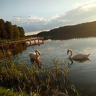 Андрей Садовничий