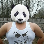 🐼 Panda