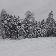 Лариса Бухалова