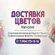 Магнолия Студия