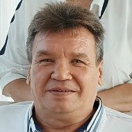 Николай Лапин