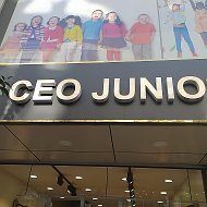 Ceo Junior