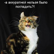 Василий Кот