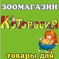 Котовасия Зоомагазин