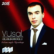 Vüsal Elekberoglu