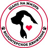 Волонтерское Движение