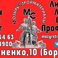 Оао Мозырьстройматериалы