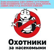 Дезинсекция Красноярсклопытараканы