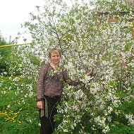 Светлана Перова