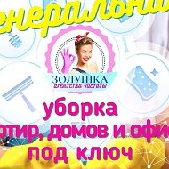 Профессиональная Уборка