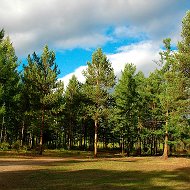 Александр Имария