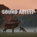 Elijah Wagner - Deep Forest Red Deer Stags Calls Ambience Pt…