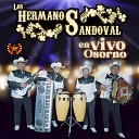 Los Hermanos Sandoval - El Cerrillazo Rosita de Olivo Chaparrita En…