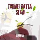 Senna Cover - Toumei Datta Sekai