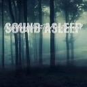 Elijah Wagner - Mystifying Night Time Forest Sounds Pt 12