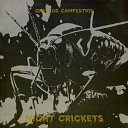 Night Crickets - Crickets in the Cemetery