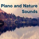 The Healing Project Schola Camerata - Piano And Nature Sounds Vol 2