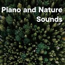 The Healing Project Schola Camerata - Piano And Nature Sounds Vol 3